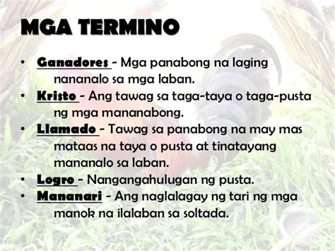 tawag sa ilegal na sabong